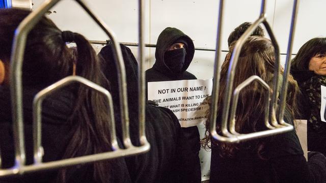 Des membres de l'association 269 Life Libération Animale. [NurPhoto/AFP - Nicolas Liponne]