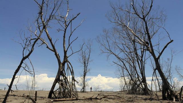 Une mangrove détruite par la montée des eaux au Savador. [Keystone - Robert Escobar]