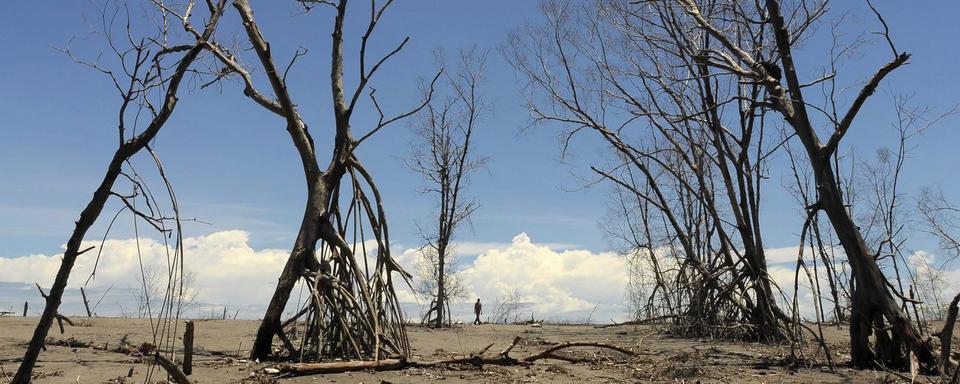 Une mangrove détruite par la montée des eaux au Savador. [Keystone - Robert Escobar]