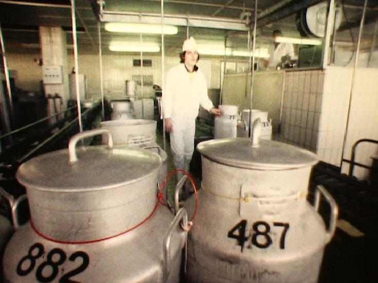 Usine Cremo à Fribourg en 1979. [RTS]