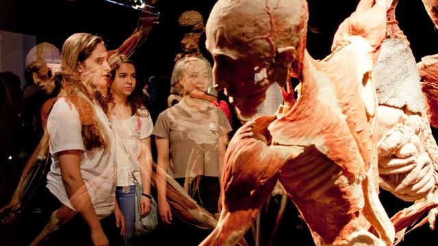 "Body Worlds" montre des études anatomiques de corps humains, de la naissance à la mort.
Photo fournie par Samuel CHERIX d'Opus One, producteur de l'expo à Genève
Gunther von Hagens' BODY WORLDS, Institute for Plastination, Heidelberg, Germany
bodyworlds.com [bodyworlds.com - Gunther von Hagens' BODY WORLDS, Institute for Plastination, Heidelberg, Germany]