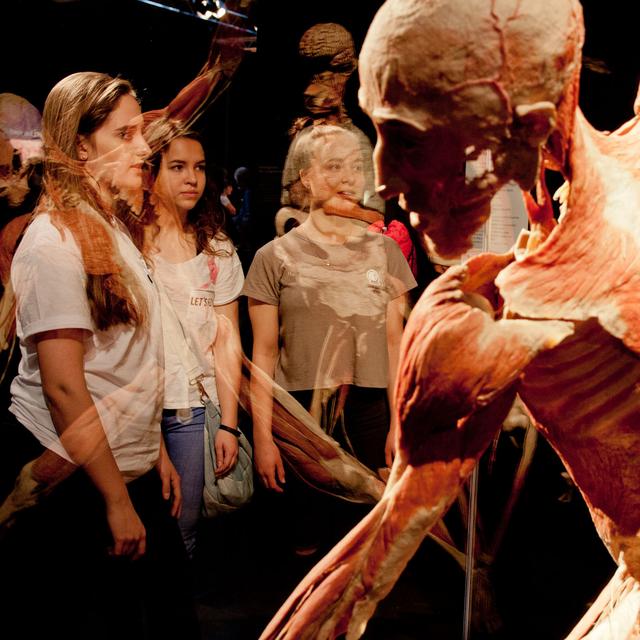 "Body Worlds" montre des études anatomiques de corps humains, de la naissance à la mort.
Photo fournie par Samuel CHERIX d'Opus One, producteur de l'expo à Genève
Gunther von Hagens' BODY WORLDS, Institute for Plastination, Heidelberg, Germany
bodyworlds.com [bodyworlds.com - Gunther von Hagens' BODY WORLDS, Institute for Plastination, Heidelberg, Germany]