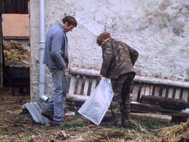 Ramassage d'animal malade de la rage par garde-chasse. Suisse, 1977. [RTS]