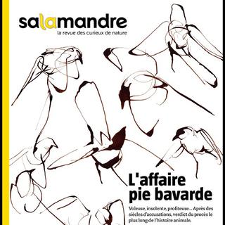 La couverture de La Salamandre n° 243 des mois de décembre-janvier 2017, 2018. [Salamandre.net]