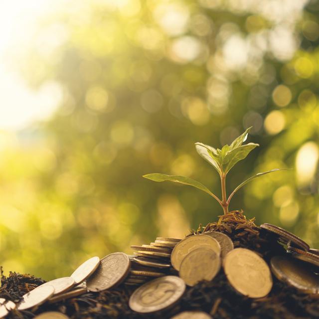 La finance verte propose d'utiliser les marchés pour accélérer la transition écologique. [Fotolia - thekob5123]