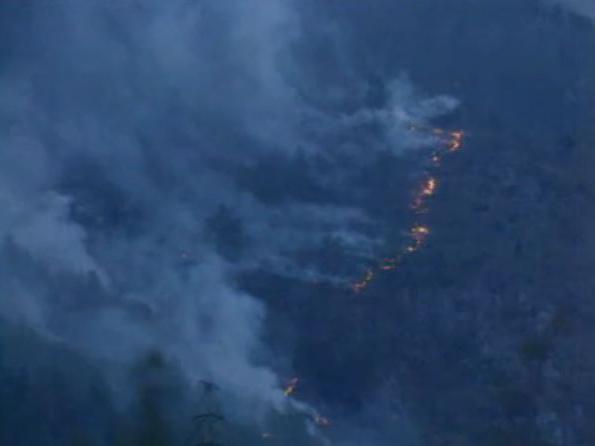Incendie au Bois de Finges en Valais en 1996. [RTS]