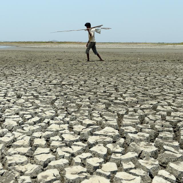 Un homme marche au milieu d'un réservoir asséché à Chennai, en Inde, en mai 2017. [AFP - Arun Sankar]