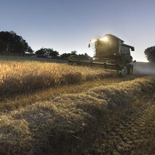 Récolte de blé (image d'illustration). [Keystone - Gaëtan Bally]
