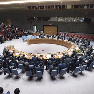 Le Conseil de sécurité des Nations Unies en réunion sur l'utilisation des armes chimiques en Syrie le 26 octobre 2017. [KEYSTONE - Kim Haughton/The United Nations via AP]