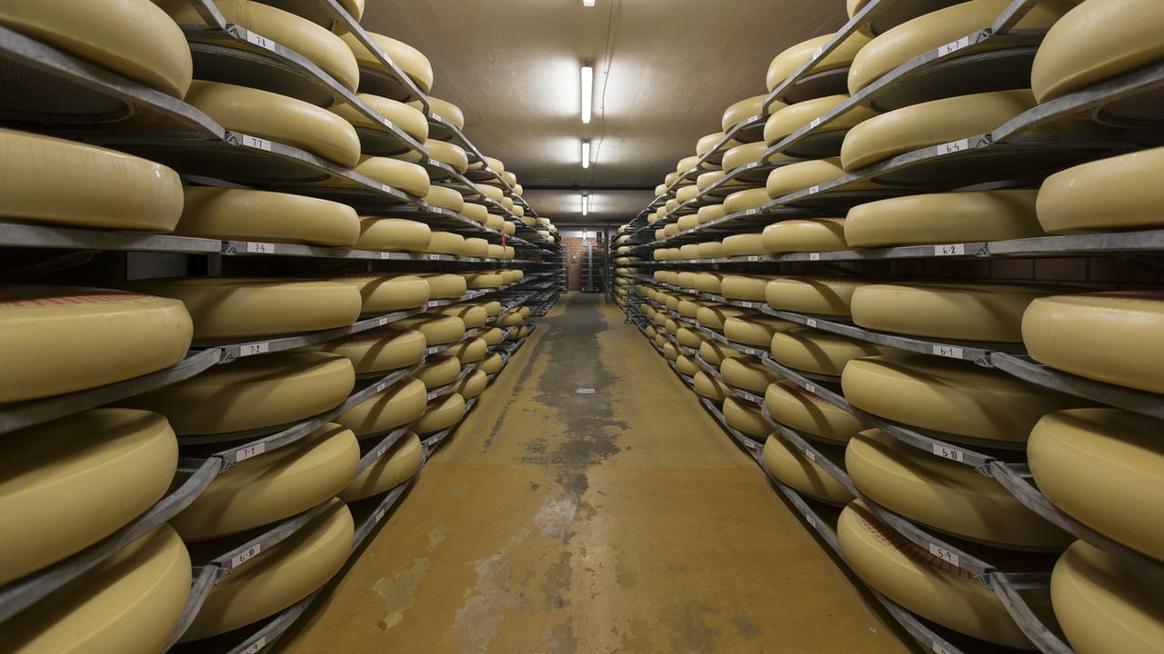 Des fromages Emmental en salle d'affinage. [Keystone - Peter Klaunzer]