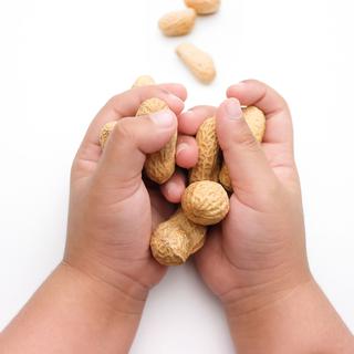 L'allergie aux cacahuètes touche particulièrement les enfants.
Tanawut
Fotolia [Fotolia - Tanawut]
