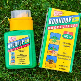 Le désherbant Roundup contient du glyphosate. [AFP - PATRICK PLEUL]