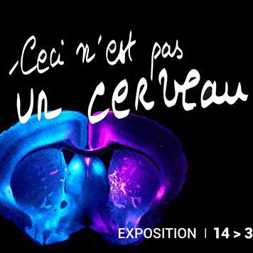 Visuel de l'exposition "Ceci n'est pas un cerveau". [Hall des Grands Moulins de Paris-Diderot]