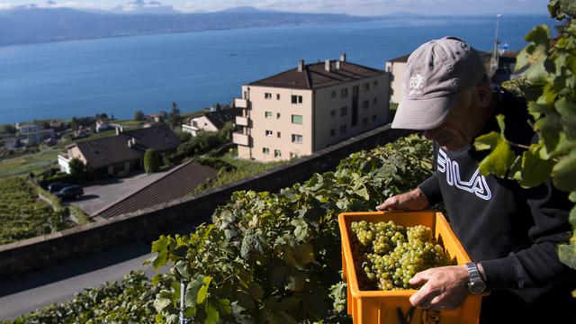 L'augmentation a été surtout marquée en Suisse romande avec 19,7 millions de litres de plus. [Keystone - Jean-Cristophe Bott]