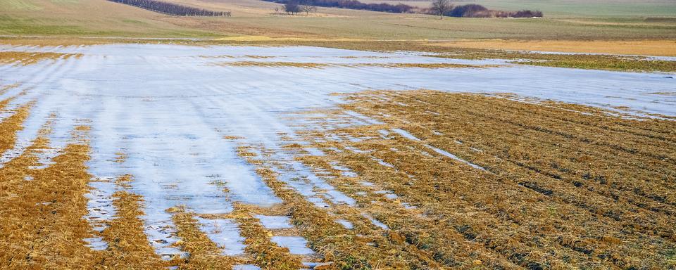 Eau glacée dans les champs [Fotolia - Ewald Fröch]