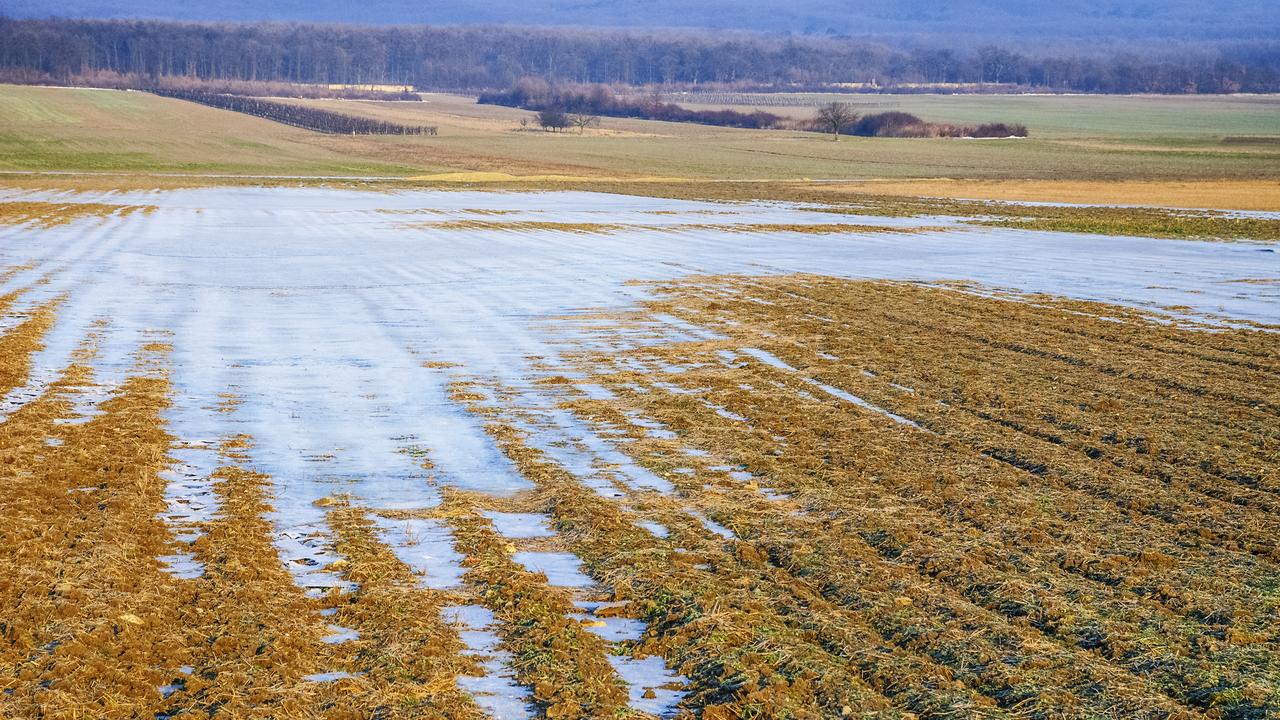 Eau glacée dans les champs [Fotolia - Ewald Fröch]