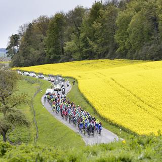Tour de Romandie - 4e étape: Domdidier - Leysin. [Keystone - Jean-Christophe Bott]