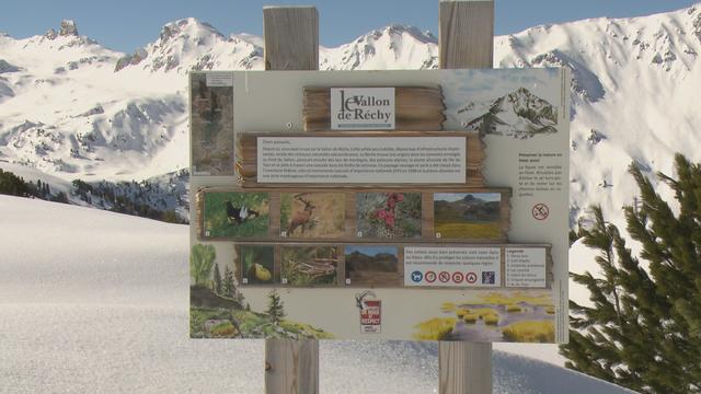 La zone protégée du vallon de Réchy, entre le val d'Hérens et le val d'Anniviers. [RTS - DR]