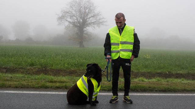 Un "gilet jaune" et son chien, sur un rond-point de Dinan, en France. [AFP - Martin Bertrand / Hans Lucas]