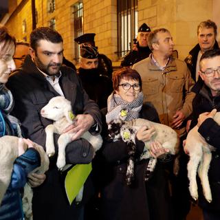 Manifestation d'éleveurs contre le "plan loup" à Matignon, 05.12.2017. [AFP - Thomas Samson]