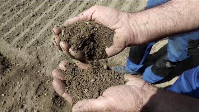 Il existe des bases légales pour la protection des sols, mais elles ne suffisent pas à enrayer leur dégradation. [RTS]