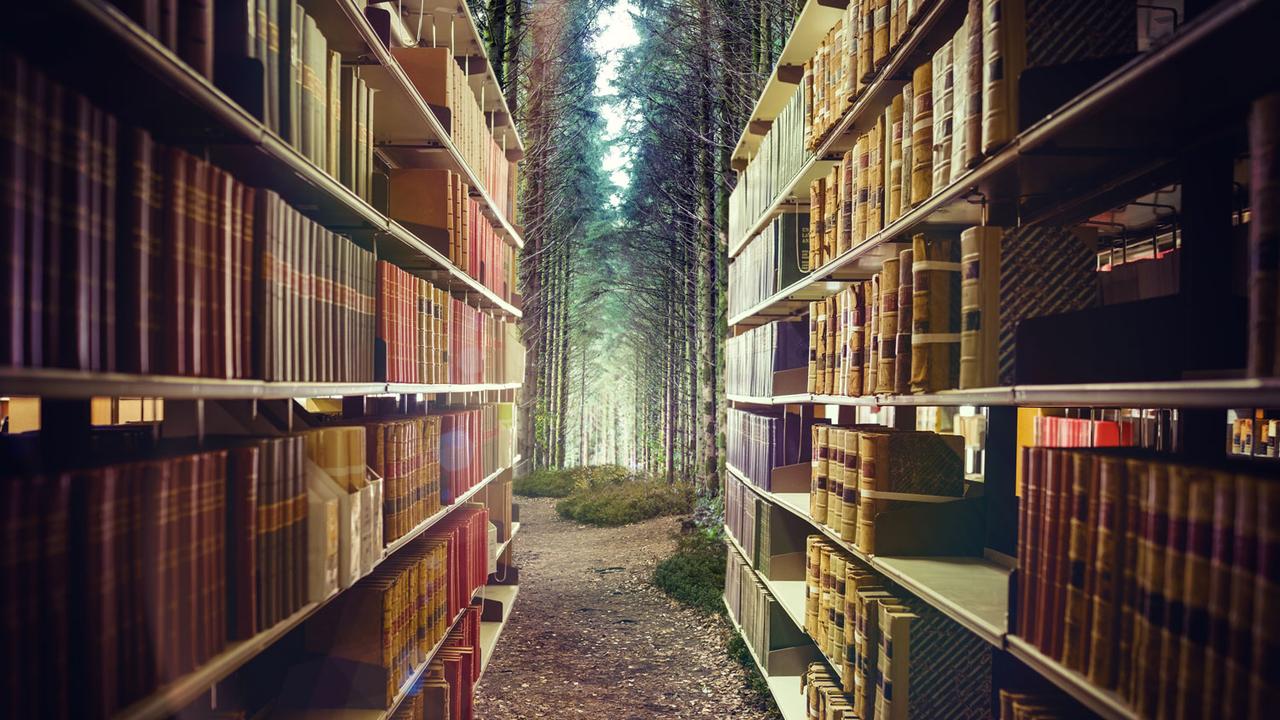 Vue d'une bibliothèque dans la forêt. [Fotolia - vectorfusionart]
