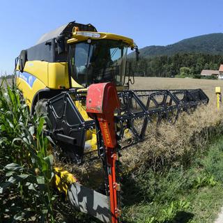 L'étude met en avant les coûts engendrés par le secteur agricole en Suisse, trop élevés. [Keystone - Laurent Gilliéron]