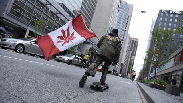 A quelques mois de sa légalisation, le marché du cannabis est en pleine effervescence au Canada. [NurPhoto/AFP - Arindam Shivaani]