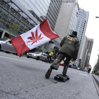 A quelques mois de sa légalisation, le marché du cannabis est en pleine effervescence au Canada. [NurPhoto/AFP - Arindam Shivaani]