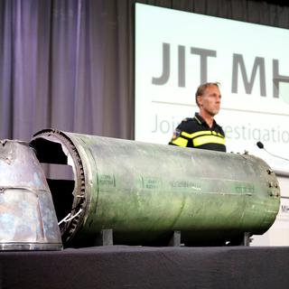 Le missile qui a abattu le vol MH17 au-dessus de l'Ukraine en 2014 provenait d'une unité militaire russe. [Reuters - Francois Lenoir]