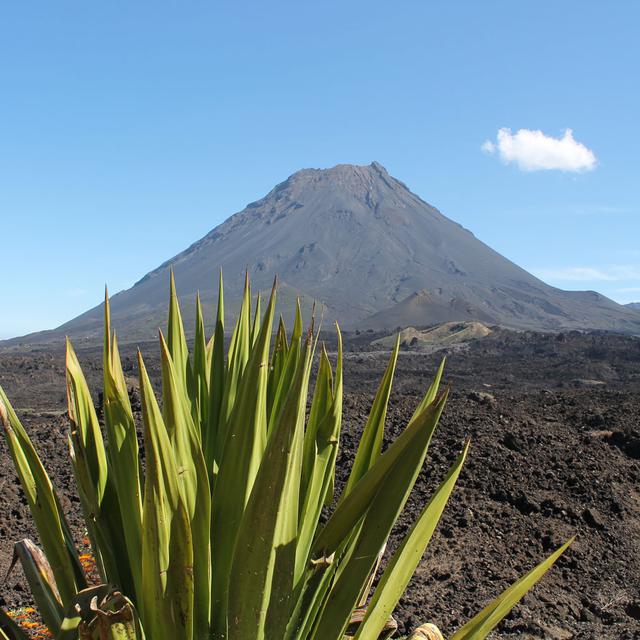 L'île de Fogo que domine un volcan toujours en activité. [Fotolia - Thomas]
