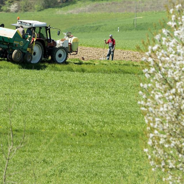 Les Suisses pourraient théoriquement vivre en autarcie alimentaire. [Keystone - Peter Schneider]