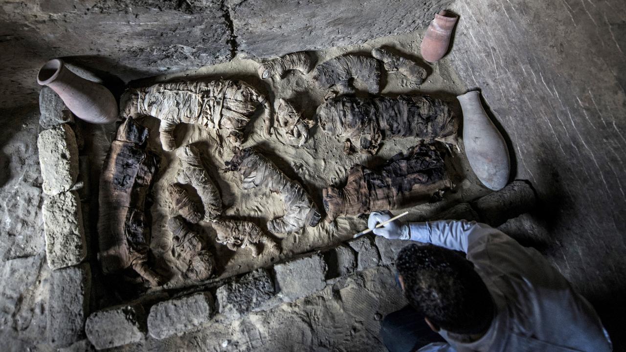 Les momies de chats ont été découvertes dans des tombeaux de la nécropole de Saqqarah, en Egypte. [AFP - Khaled Desouki]
