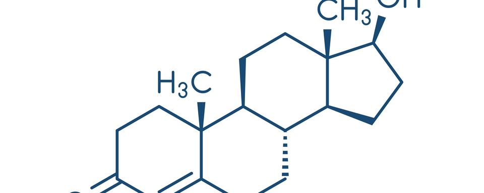 Représentation de la testostérone, l'hormone mâle.
molekuul.be
Fotolia [molekuul.be]