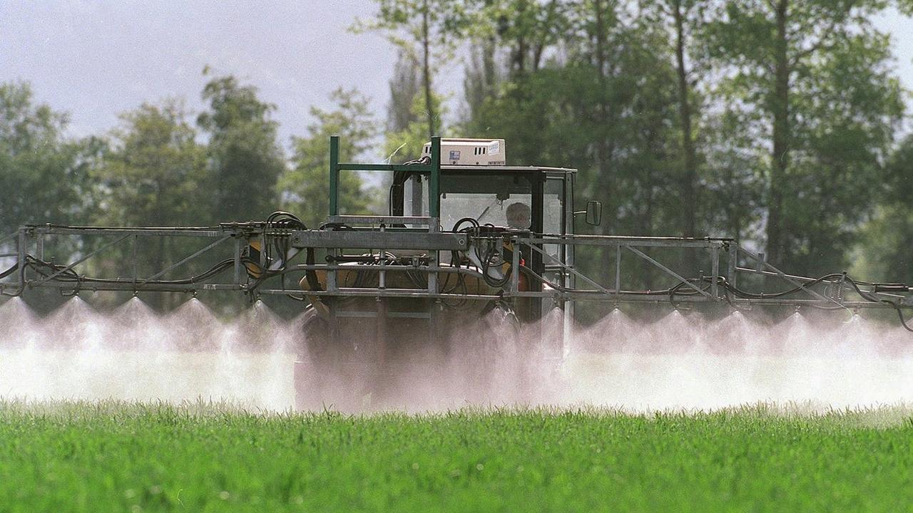Une initiative, rejetée par le Conseil fédéral, souhaitait que la Suisse se passe de pesticides de synthèse. [Keystone - Arno Balzarini]