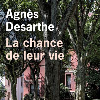 La couverture du livre "La chance de leur vie", écrit par Agnès Desarthe. [Editions de lʹOlivier - DR]