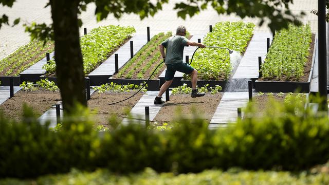 Vaud va interdire d'abord le glyphosate dans ses parcs et jardins (image d'illustration). [Keystone - Laurent Gilliéron]