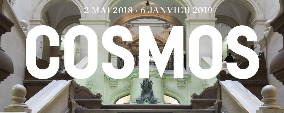 Visuel de l'exposition "COSMOS" au Palais de Rumine à Lausanne. [musee-monetaire.ch - DR]