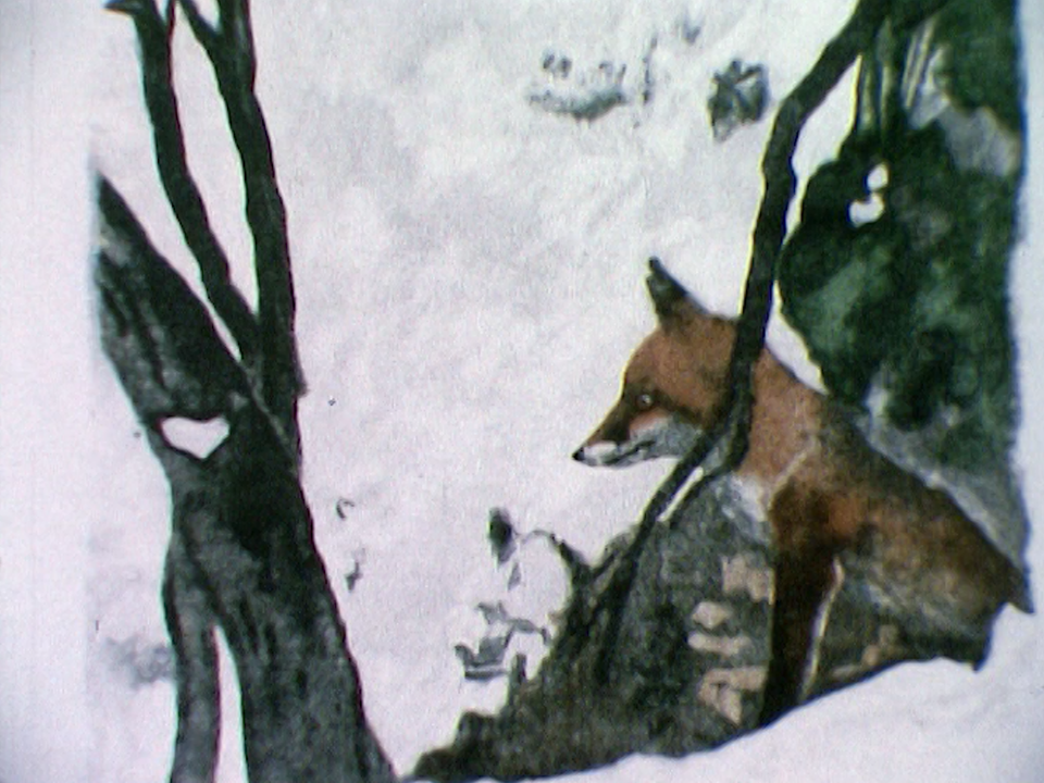 Le renard [RTS]