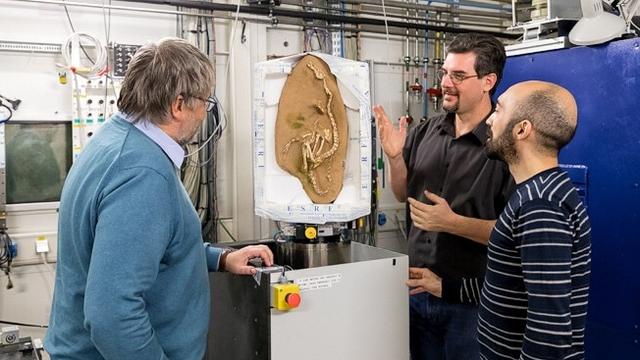 Des collaborateurs de l'European synchrotron Radiation Facility autour d'un fossile de dinosaure.
ESRF [ESRF - Pierre Jayet]