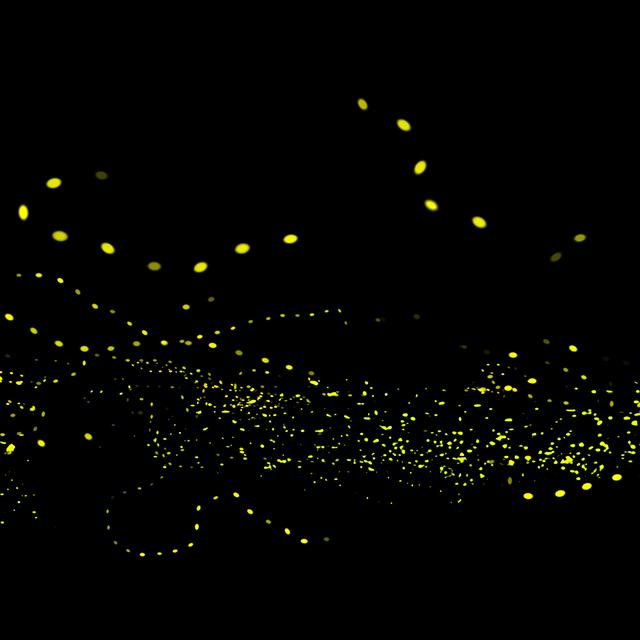 La bioluminescence est propre à de nombreux organismes.
grape_vein
Fotolia [grape_vein - stock.adobe.com - grape_vein]