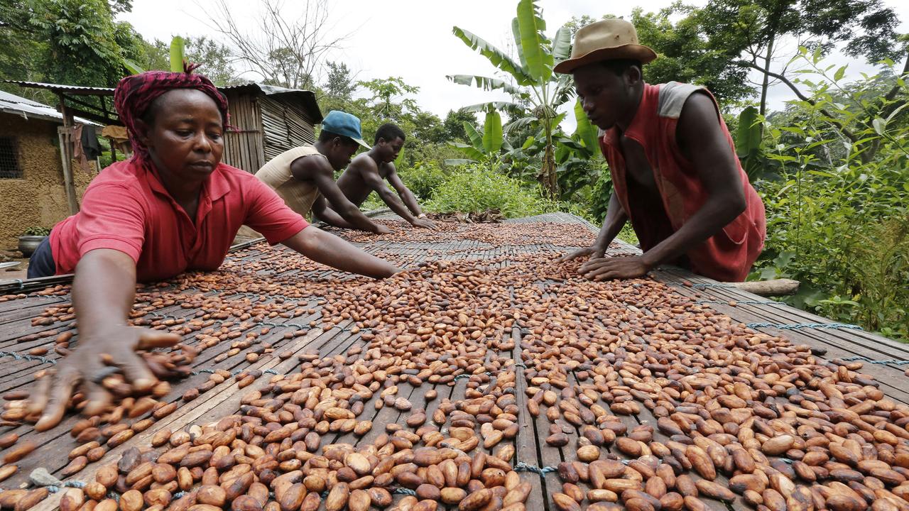Travail des fèves de cacao au Ghana. [Reuters - Thierry Gouegnon]