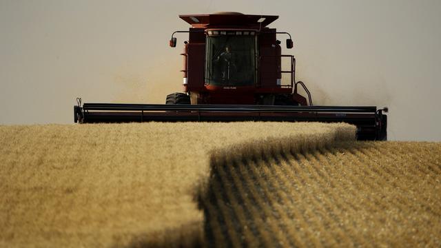 Vendredi 6 juillet: la récolte des céréales dans le Kansas. [Keystone - AP Photo/Charlie Riedel]