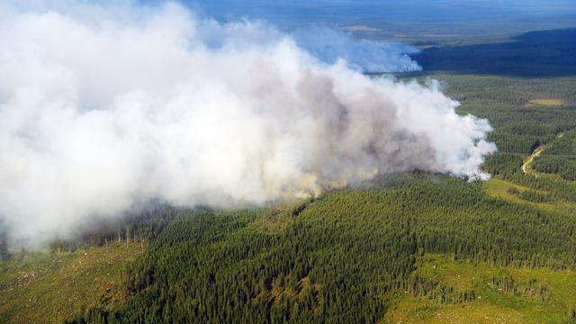 Les feux de forêts sévissant en Suède sont les plus violents du pays depuis de nombreuses années. [TT via AP - Maja Suslin]