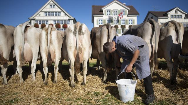 Un paysan s'occupe de son bétail à Stein (AG) le 25 septembre 2018. [Keystone - Gian Ehrenzeller]