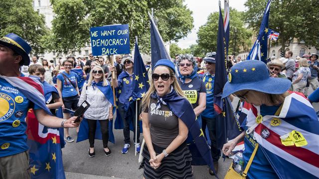 Des manifestants demandent l’annulation du Brexit lors de la marche pour le "vote du peuple" à Londres. [Hans Lucas - AFP - Benjamin Furst]