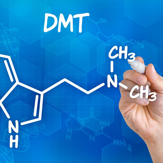 La molécule DMT, la dyméthyltryptamine, provoque certains effets qui rappellent ceux induits par les expériences de mort imminente.
Zerbor
Fotolia [Zerbor]