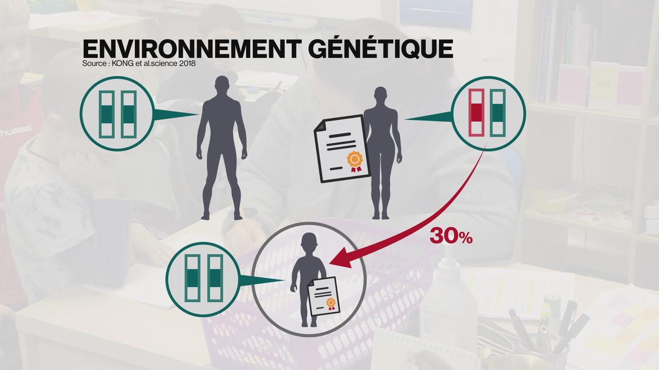 Cet exemple montre les séquences d'ADN transmises des parents à l'enfant. La séquence rouge serait corrélée à la réussite scolaire de la mère. L'enfant n'a pas reçu cet ADN. Pourtant, au contact de sa mère, il grandit dans un environnement favorable qui augmente quand même ses chances à l'école. [RTS]