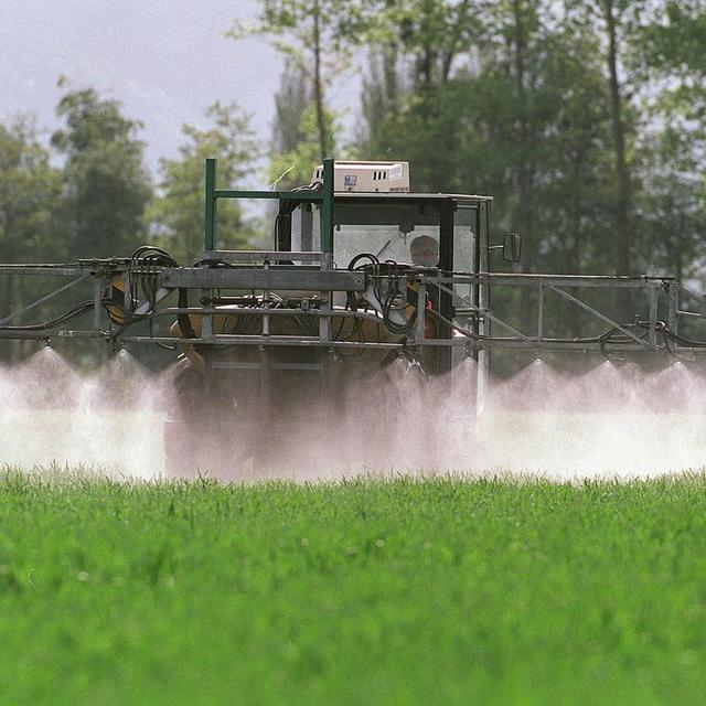 Un agriculture pulvérise un insecticide dans le canton de Saint-Gall. [Keystone - Arno Balzarini]