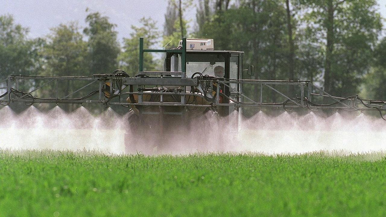 Un agriculture pulvérise un insecticide dans le canton de Saint-Gall. [Keystone - Arno Balzarini]